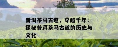 普洱茶马古道，穿越千年：探秘普洱茶马古道的历史与文化