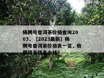 杨聘号普洱茶价格查询2003，【2023最新】杨聘号普洱茶价格表一览，收藏级茶饼多少钱？