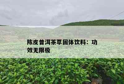 陈皮普洱茶萃固体饮料：功效无限极