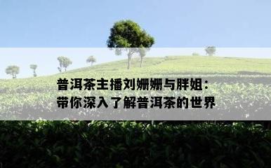 普洱茶主播刘姗姗与胖姐：带你深入了解普洱茶的世界