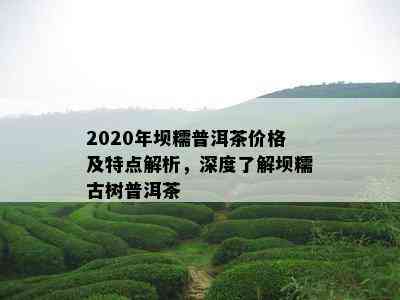 2020年坝糯普洱茶价格及特点解析，深度熟悉坝糯古树普洱茶