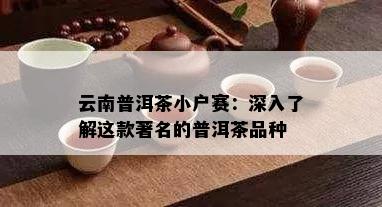 云南普洱茶小户赛：深入了解这款著名的普洱茶品种