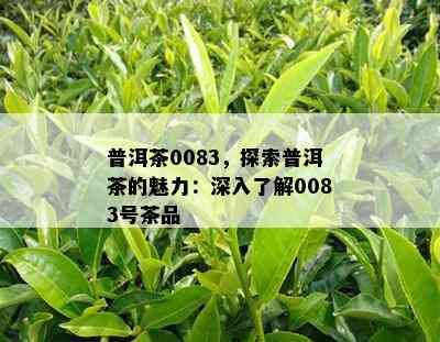 普洱茶0083，探索普洱茶的魅力：深入了解0083号茶品