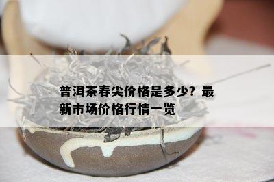 普洱茶春尖价格是多少？最新市场价格行情一览