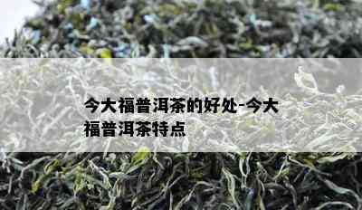 今大福普洱茶的好处-今大福普洱茶特点