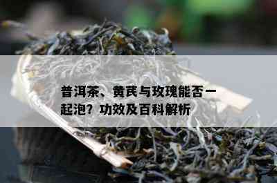 普洱茶、黄芪与玫瑰能否一起泡？功效及百科解析