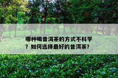 哪种喝普洱茶的方式不科学？如何选择更好的普洱茶？