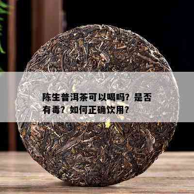 陈生普洱茶可以喝吗？是不是有？怎样正确饮用？