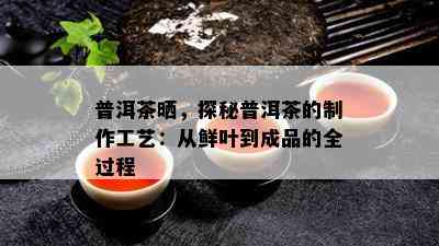 普洱茶晒，探秘普洱茶的制作工艺：从鲜叶到成品的全过程