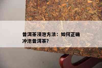 普洱茶浸泡方法：怎样正确冲泡普洱茶？