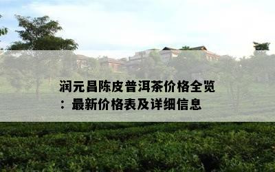 润元昌陈皮普洱茶价格全览：最新价格表及详细信息