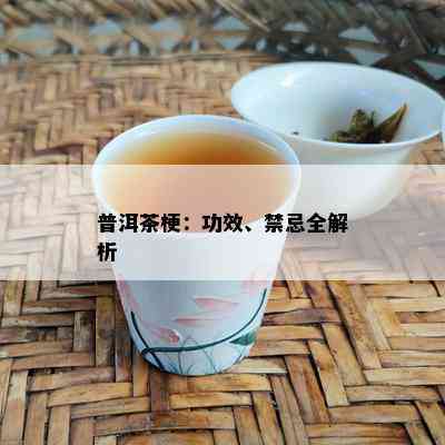 普洱茶梗：功效、禁忌全解析