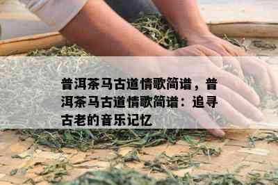 普洱茶马古道情歌简谱，普洱茶马古道情歌简谱：追寻古老的音乐记忆