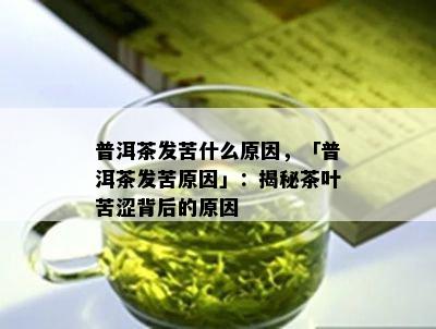 普洱茶发苦什么原因，「普洱茶发苦原因」：揭秘茶叶苦涩背后的原因