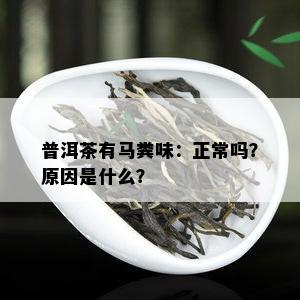 普洱茶有马粪味：正常吗？原因是什么？