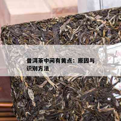 普洱茶中间有黄点：起因与识别方法