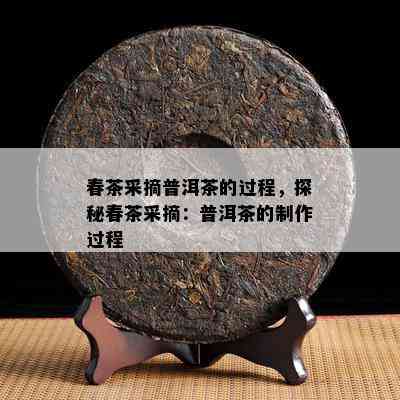 春茶采摘普洱茶的过程，探秘春茶采摘：普洱茶的制作过程