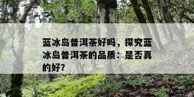 蓝冰岛普洱茶好吗，探究蓝冰岛普洱茶的品质：是不是真的好？