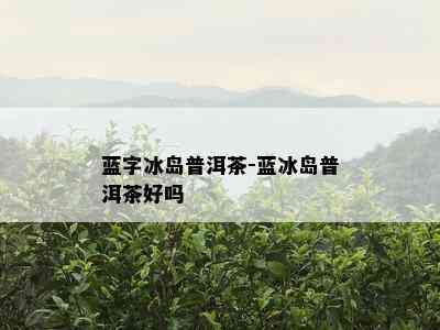 蓝字冰岛普洱茶-蓝冰岛普洱茶好吗