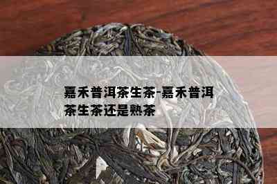 嘉禾普洱茶生茶-嘉禾普洱茶生茶还是熟茶