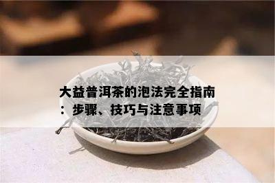 大益普洱茶的泡法完全指南：步骤、技巧与留意事项