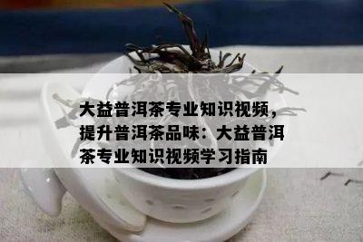 大益普洱茶专业知识视频，提升普洱茶品味：大益普洱茶专业知识视频学习指南