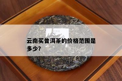 云南买普洱茶的价格范围是多少？