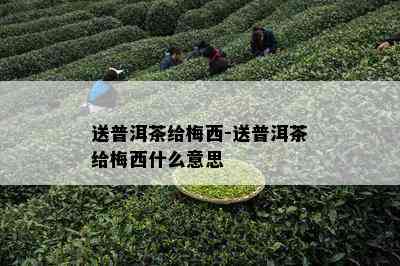 送普洱茶给梅西-送普洱茶给梅西什么意思