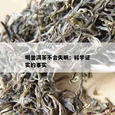 喝普洱茶不会失眠：科学证实的事实