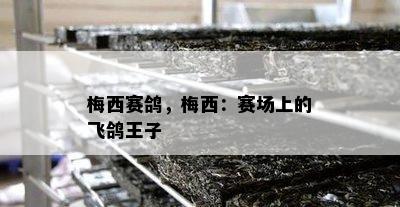 梅西赛鸽，梅西：赛场上的飞鸽王子