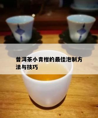 普洱茶小青柑的更佳泡制方法与技巧