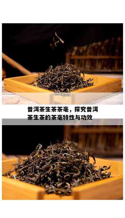 普洱茶生茶茶毫，探究普洱茶生茶的茶毫特性与功效