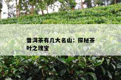 普洱茶有几大名山：探秘茶叶之瑰宝