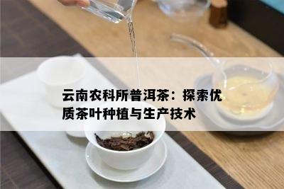 云南农科所普洱茶：探索优质茶叶种植与生产技术