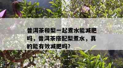 普洱茶和梨一起煮水能减肥吗，普洱茶搭配梨煮水，真的能有效减肥吗？