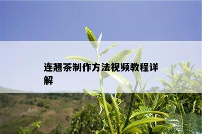 连翘茶制作方法视频教程详解