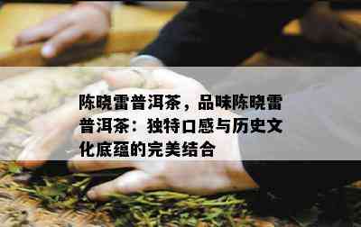 陈晓雷普洱茶，品味陈晓雷普洱茶：独特口感与历史文化底蕴的完美结合