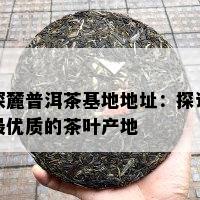 深麓普洱茶基地地址：探访更优质的茶叶产地