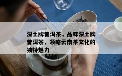 深土牌普洱茶，品味深土牌普洱茶，领略云南茶文化的特别魅力