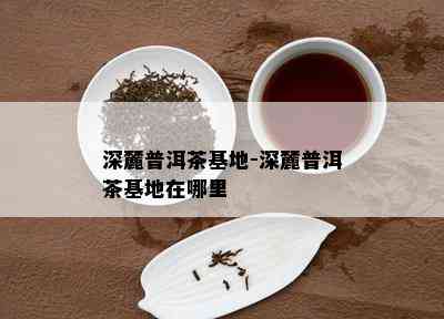 深麓普洱茶基地-深麓普洱茶基地在哪里