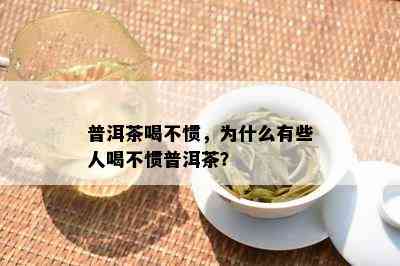 普洱茶喝不惯，为什么有些人喝不惯普洱茶？