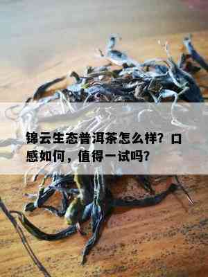 锦云生态普洱茶怎么样？口感怎样，值得一试吗？