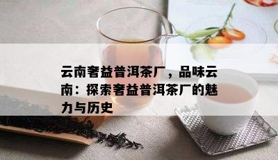 云南奢益普洱茶厂，品味云南：探索奢益普洱茶厂的魅力与历史