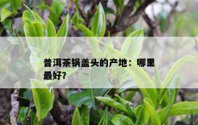 普洱茶锅盖头的产地：哪里更好？