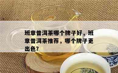 班章普洱茶哪个牌子好，班章普洱茶推荐，哪个牌子更出色？