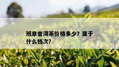 班章普洱茶价格多少？属于什么档次？