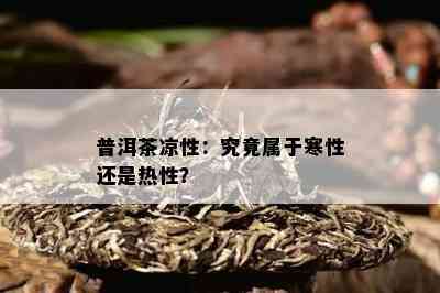 普洱茶凉性：究竟属于寒性还是热性？