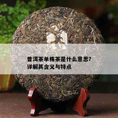 普洱茶单株茶是什么意思？详解其含义与特点