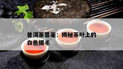 普洱茶显毫：揭秘茶叶上的白色细毛