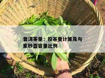 普洱茶量：投茶量计算及与紫砂壶容量比例